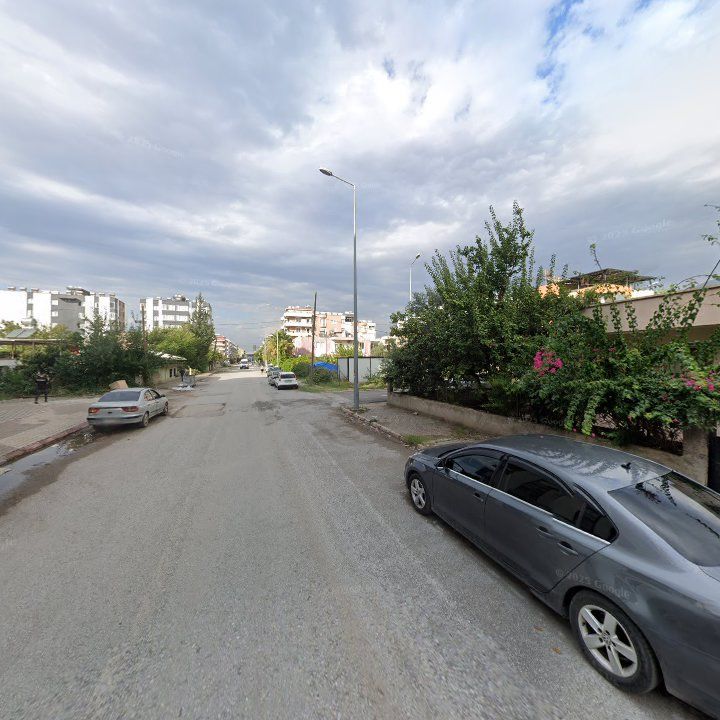 Fotoğraf 3