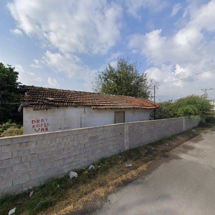 Fotoğraf 2