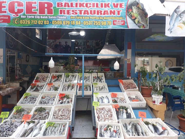 Seçer Balık