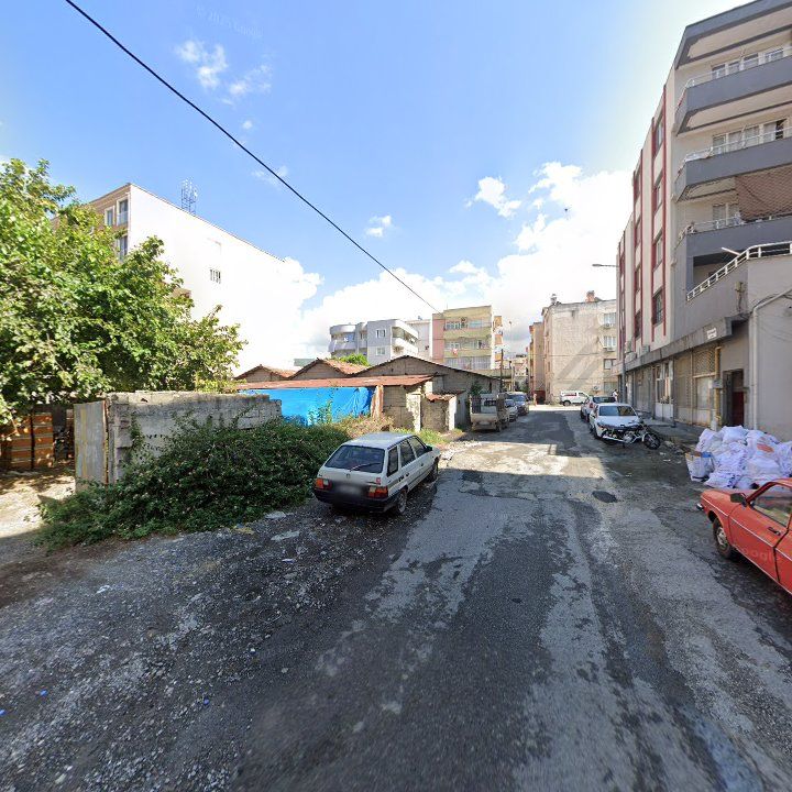Fotoğraf 5