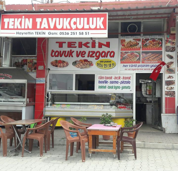 Tekin Izgara