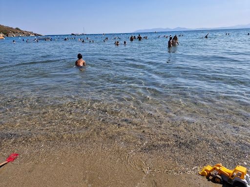 Fotoğraf 13