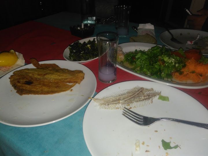Fotoğraf 17