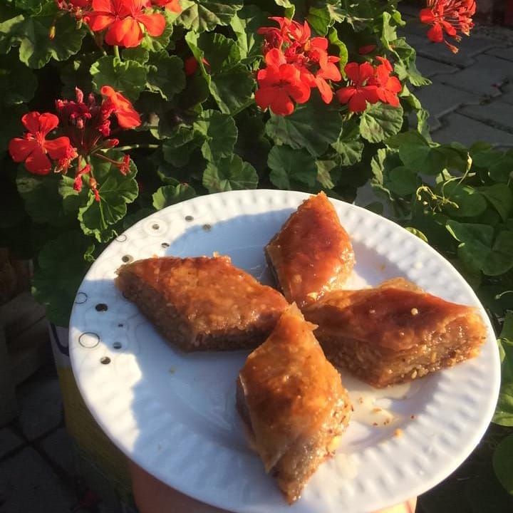 Fotoğraf 17