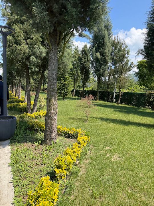Fotoğraf 23