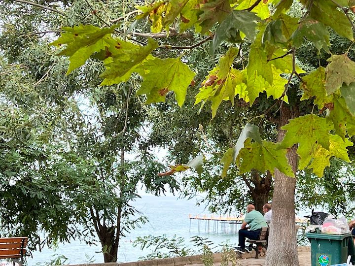 Yorum fotoğrafı 4