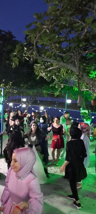 Fotoğraf 33