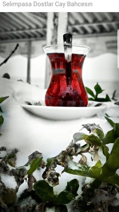 Fotoğraf 40