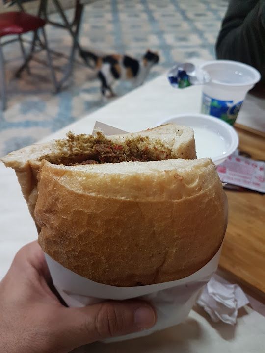 Fotoğraf 19