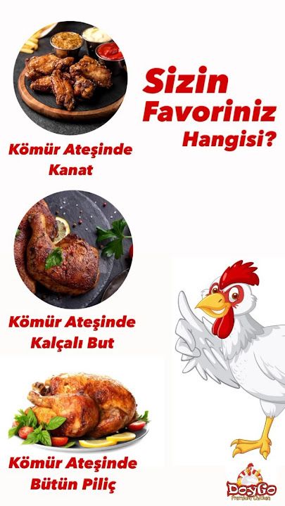 Fotoğraf 19