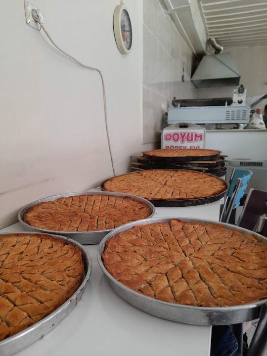 Fotoğraf 16
