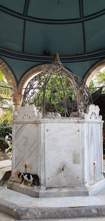 Yorum fotoğrafı 2
