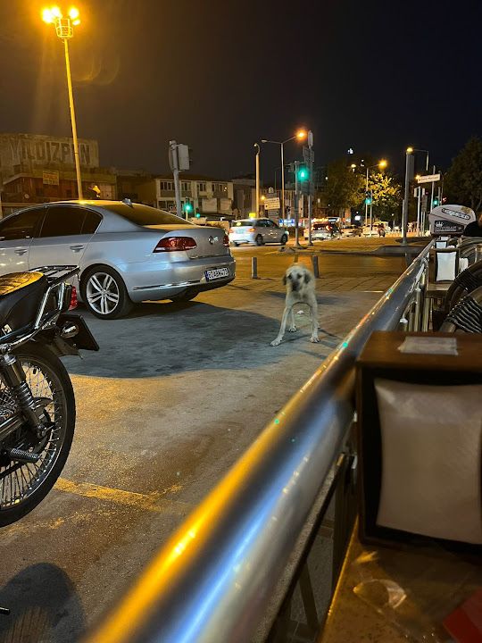 Yorum fotoğrafı 2
