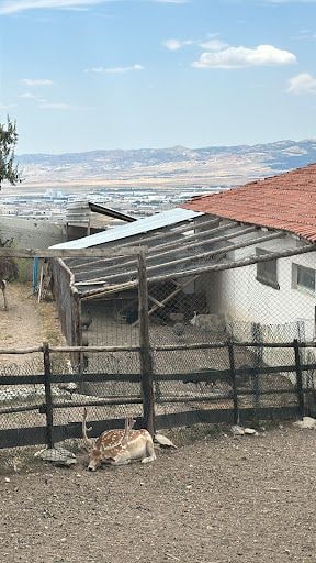 Yorum fotoğrafı 7