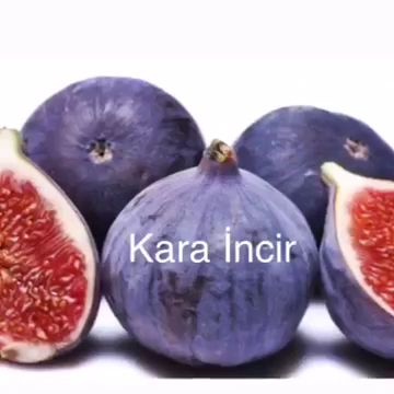 Fotoğraf 35