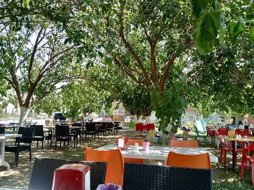 Fotoğraf 28