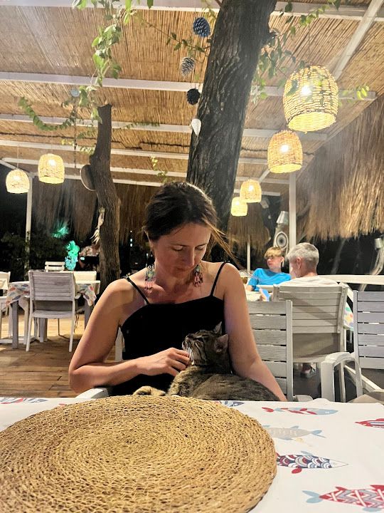 Yorum fotoğrafı 4