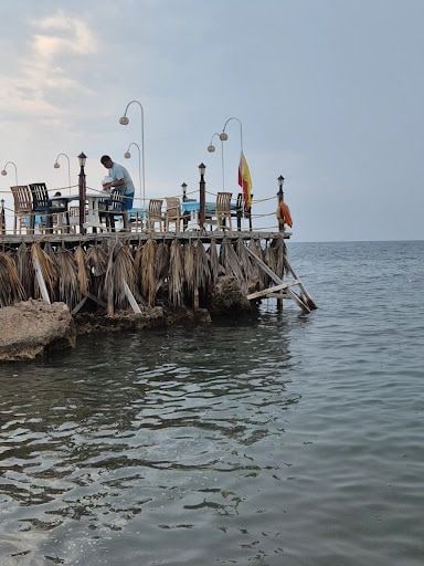 Fotoğraf 17