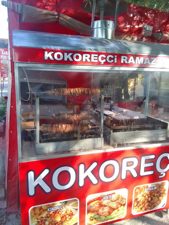 Fotoğraf 12