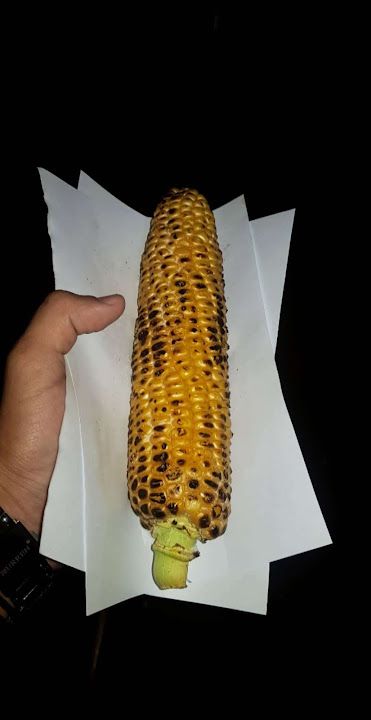 Fotoğraf 28