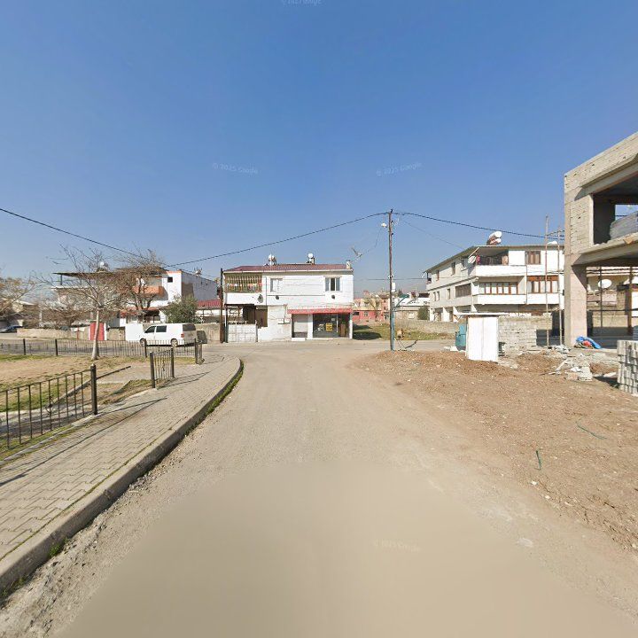 Fotoğraf 8