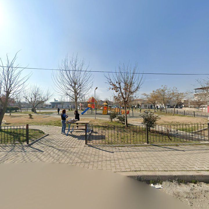 Fotoğraf 7