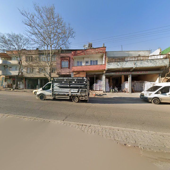 Fotoğraf 12