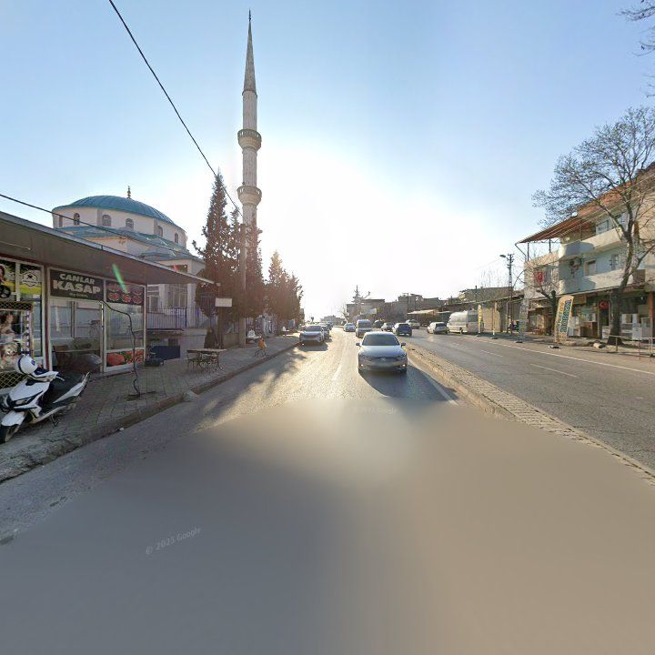 Fotoğraf 11