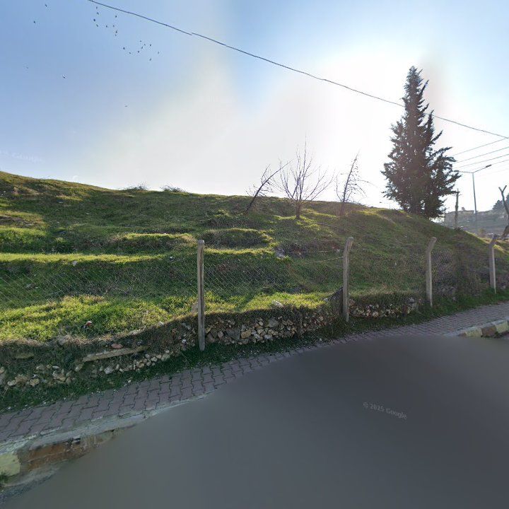 Fotoğraf 8