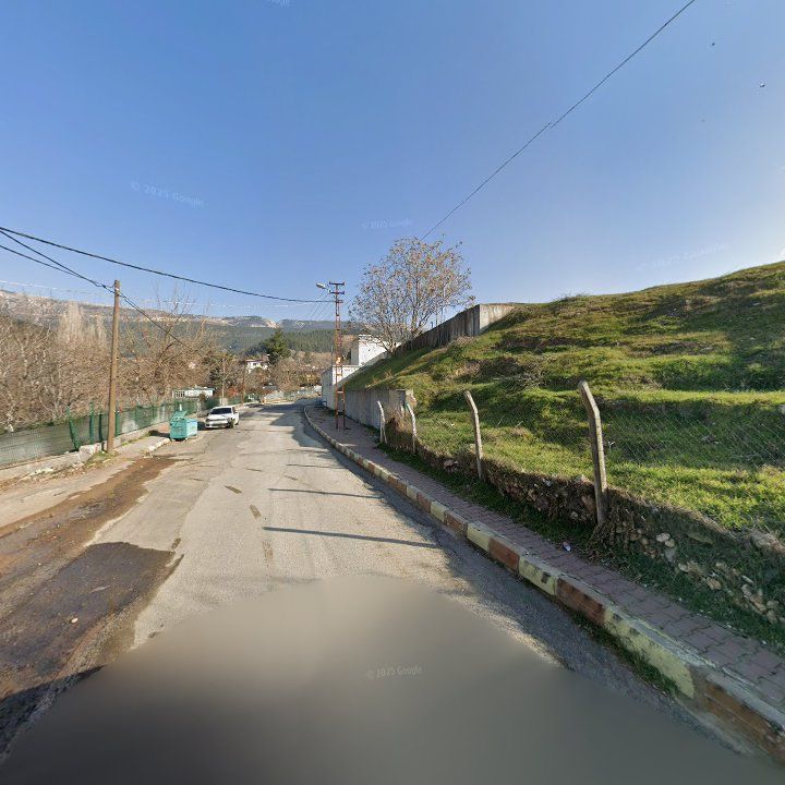 Fotoğraf 7