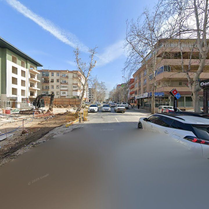 Fotoğraf 11