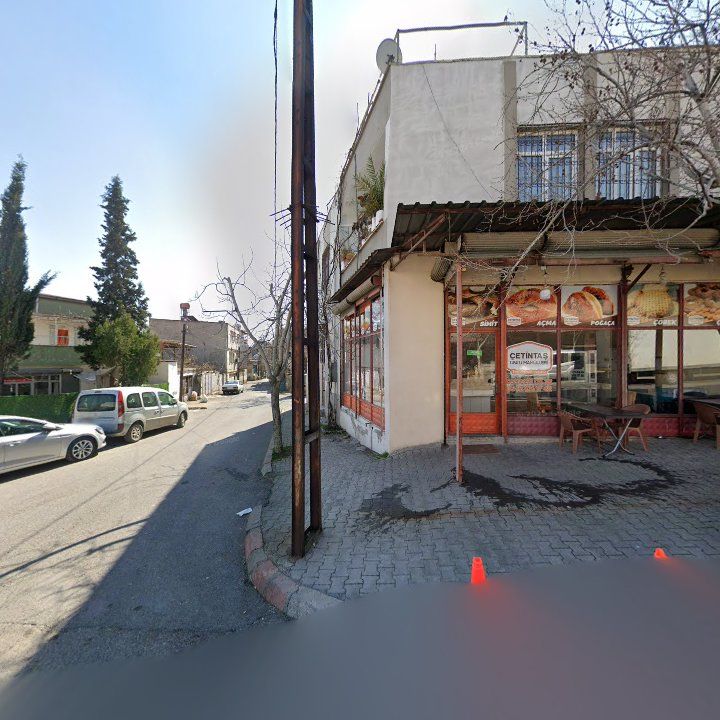 Fotoğraf 9