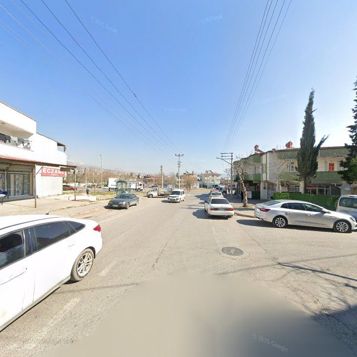Fotoğraf 8