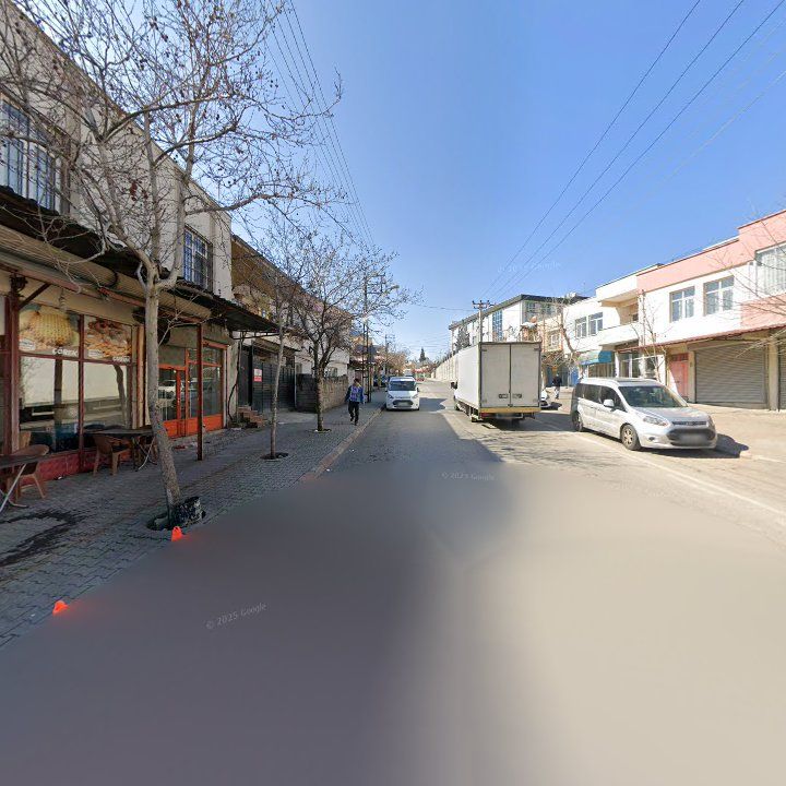 Fotoğraf 10