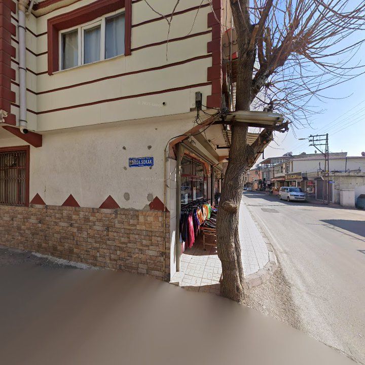 Fotoğraf 11
