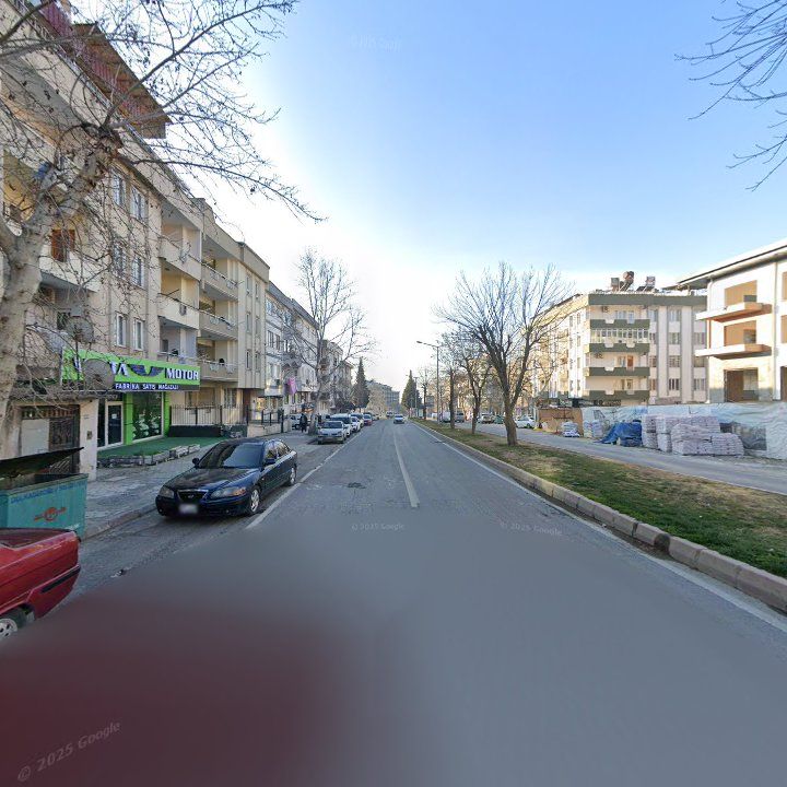 Fotoğraf 11