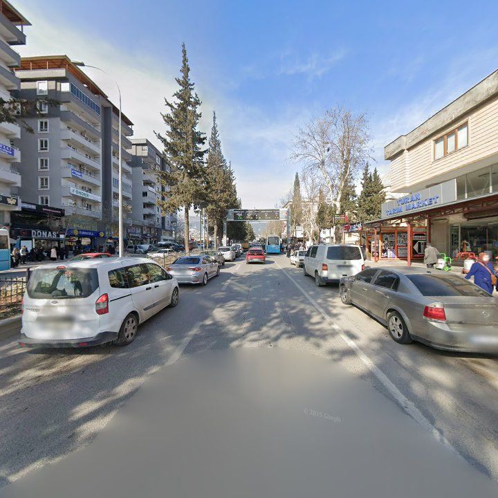 Fotoğraf 8