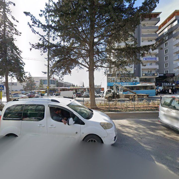 Fotoğraf 7