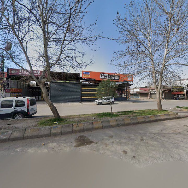 Fotoğraf 5