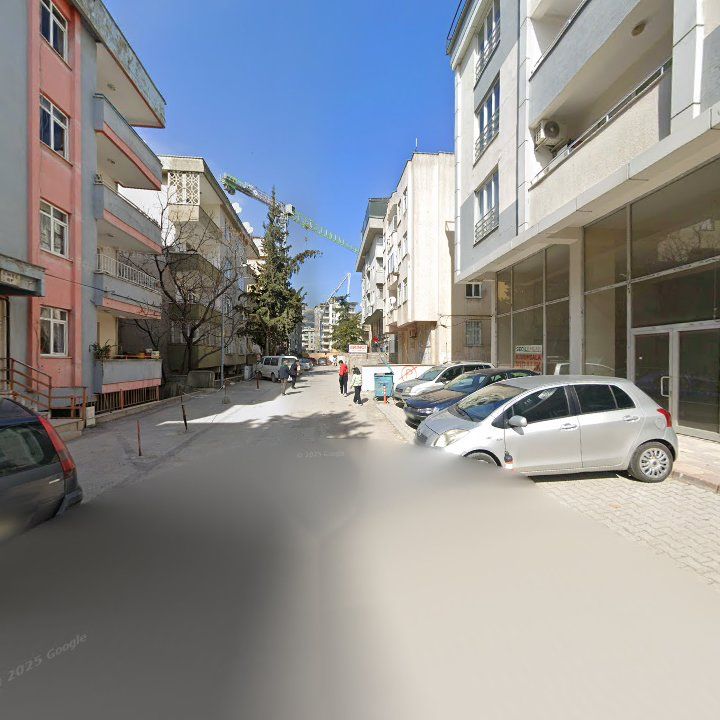 Fotoğraf 11