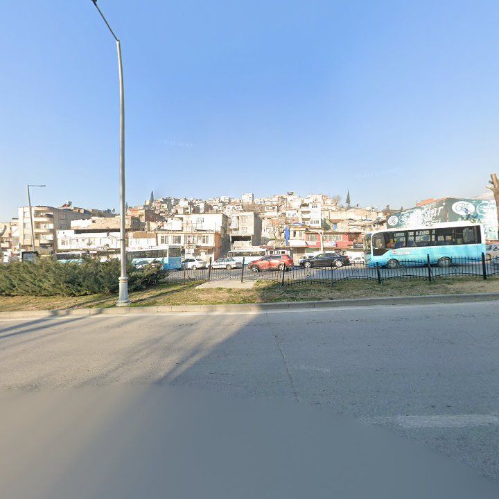 Fotoğraf 10