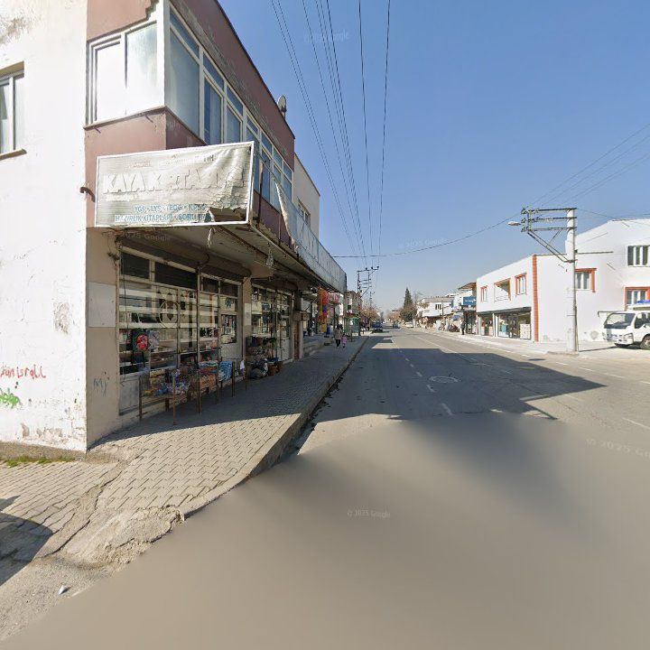Fotoğraf 9