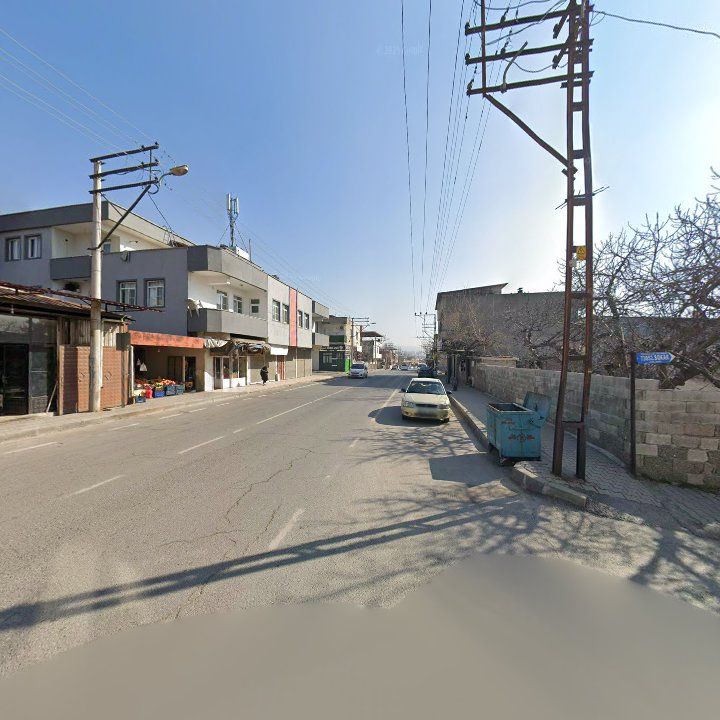 Fotoğraf 7