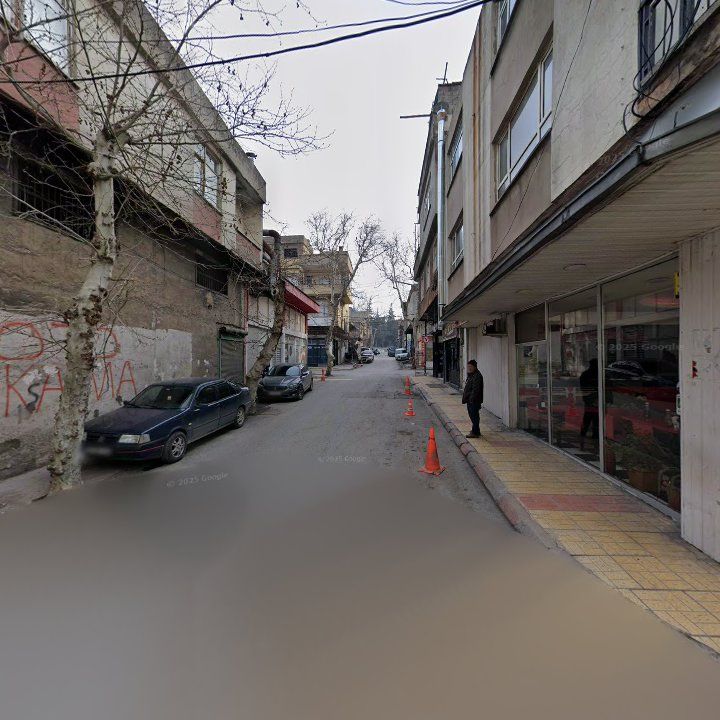 Fotoğraf 10
