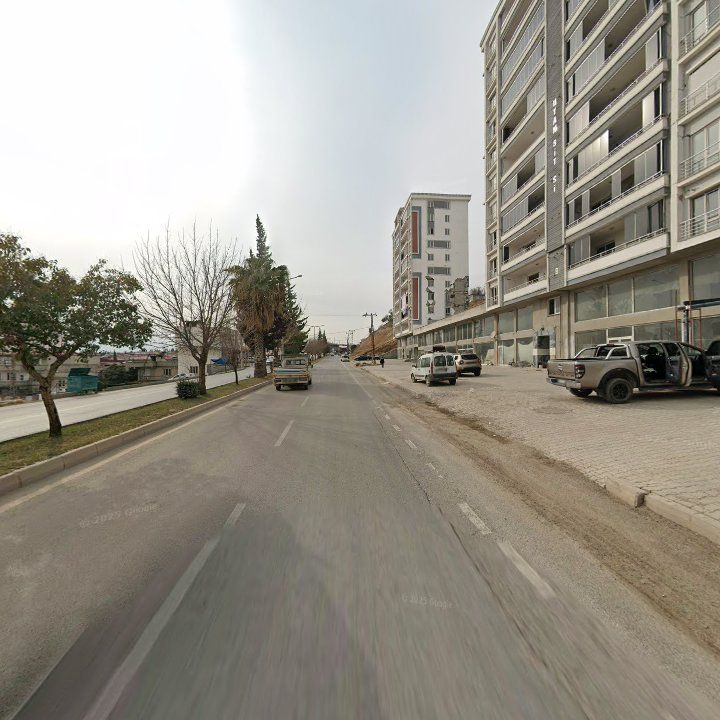 Fotoğraf 8