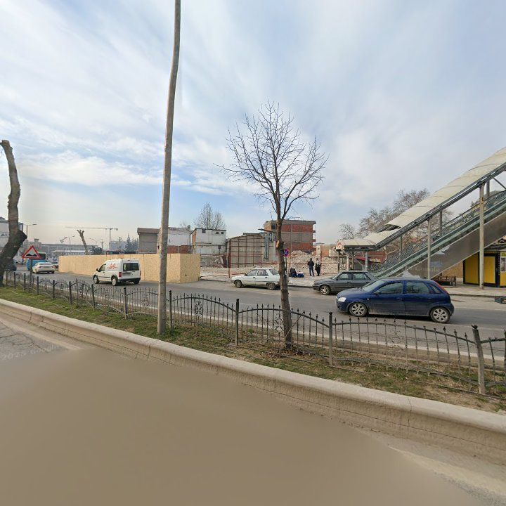 Fotoğraf 10