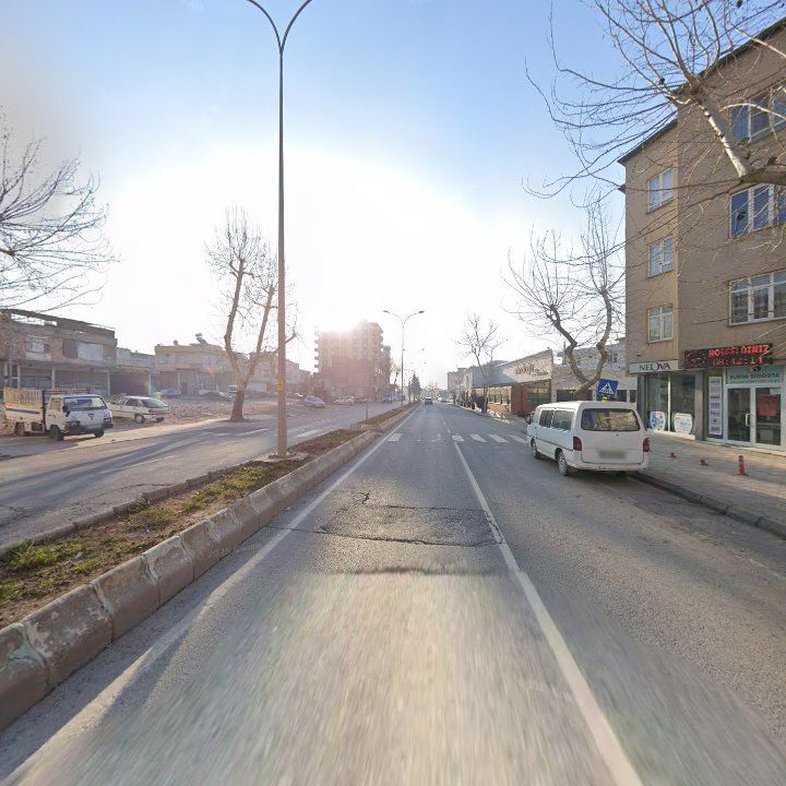 Fotoğraf 11
