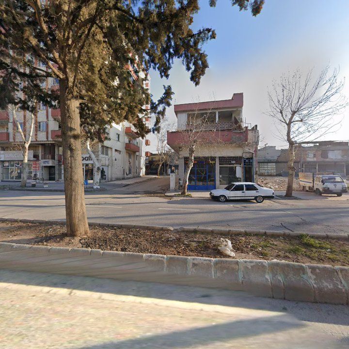 Fotoğraf 10