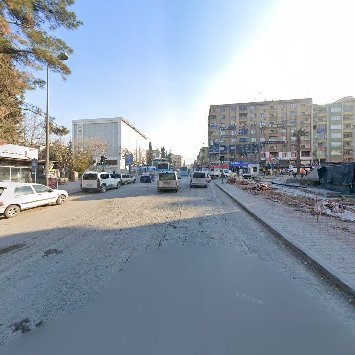 Fotoğraf 11