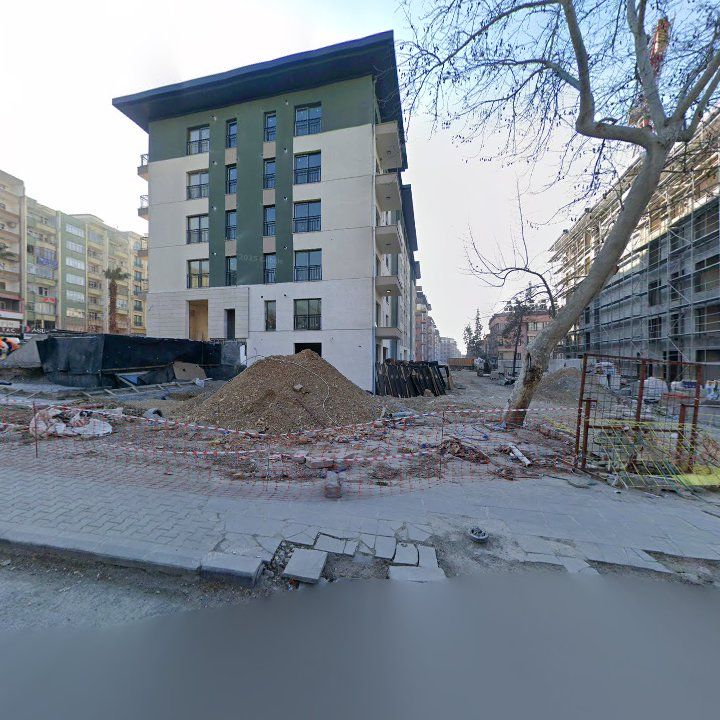 Fotoğraf 12